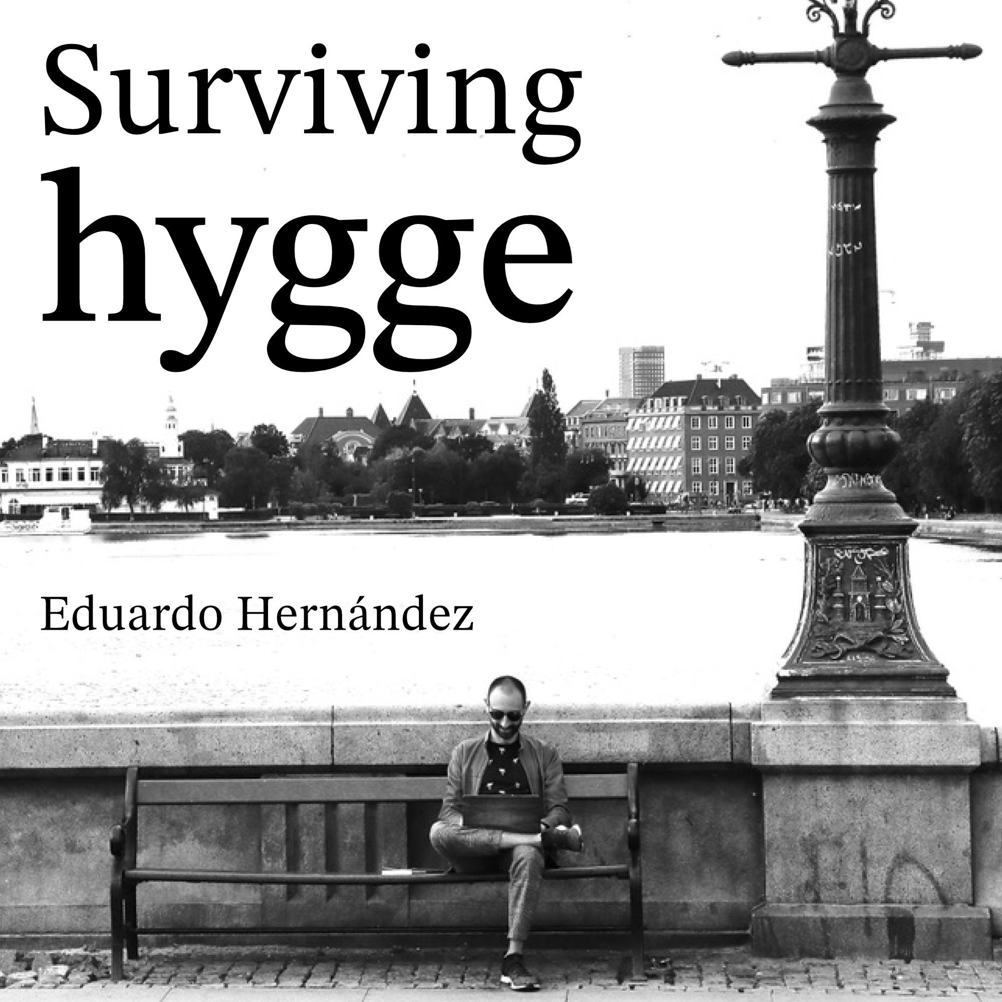 Surviving hygge book cover